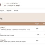 https://www.woopets.fr/forum/les-chiens/sujet/askallegiantwhat-is-the-cheapest-day-to-book-flights-on-allegiant/