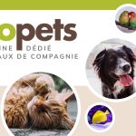 https://www.woopets.fr/forum/general/sujet/how-much-does-it-cost-to-cancel-a-flight-with-allegiant-dog/https://www.woopets.fr/forum/general/sujet/how-much-does-it-cost-to-cancel-a-flight-with-allegiant-dog/https://www.woopets.fr/forum/general/sujet/how-much-does-it-cost-to-cancel-a-flight-with-allegiant-dog/https://www.woopets.fr/forum/general/sujet/how-much-does-it-cost-to-cancel-a-flight-with-allegiant-dog/