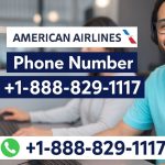 https://www.zeffy.com/ticketing/12-ways-to-call-american-airlines-customer-service-through-phone-number-chat-and-email-options