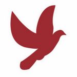 https://discourse.biologos.org/t/full-list-of-orbitz-customer-care-contact-numbers-in-usa-the-official-guide/56857