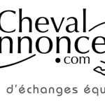 https://www.chevalannonce.com/forums-13507048-full-list-of-norse-atlantic-airways-contactnumbers#13507048