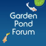 https://www.gardenpondforum.com/threads/complete-list-of-official-united-airlines-customer-service-contact-numbers-in-usa-full-detailed-guide.34614/https://www.gardenpondforum.com/threads/complete-list-of-official-united-airlines-customer-service-contact-numbers-in-usa-full-detailed-guide.34614/